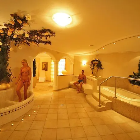 Apartment Steiner Olang