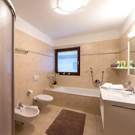 Apartment Steiner Olang