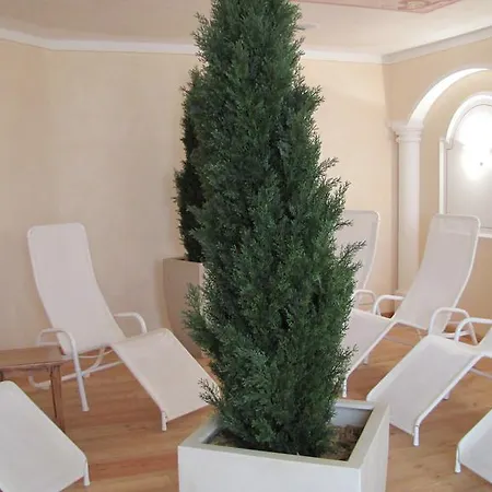 Apartment Steiner *